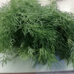 Ako pestovať zeleninu na parapete aj bez rúk: tipy pre obyvateľov mesta ako-pestovat-zeleninu-na-parapete-aj-bez-ruk-tipy-pre.jpg