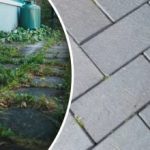 Burina na vašom dvore zmizne cez noc, ak ju postriekate jedným kuchynským prostriedkom Burina na vašom dvore zmizne cez noc, ak ju postriekate