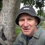 Dutý strom nie je rozsudok: osvedčený spôsob, ako predĺžiť životnosť stromu Dutý strom nie je rozsudok: osvedčený spôsob, ako predĺžiť životnosť