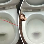 Jediný produkt vybieli vašu záchodovú misu do žiarivého lesku: ako