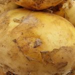 Kedy sadiť zemiaky podľa lunárneho kalendára v roku 2026, aby sa ich urodilo dvakrát viac ako zvyčajne kedy-sadit-zemiaky-podla-lunarneho-kalendara-v-roku-2026-aby.jpg