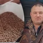 Prečo sliepky v zime neznášajú vajcia: päť faktorov, na ktoré